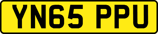 YN65PPU