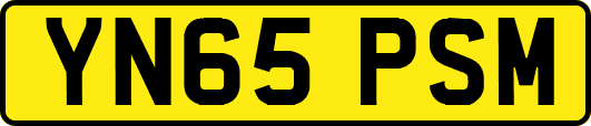 YN65PSM