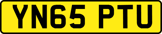 YN65PTU