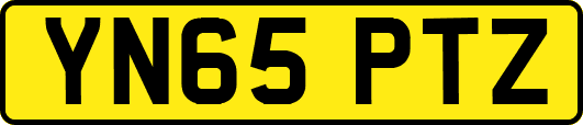 YN65PTZ