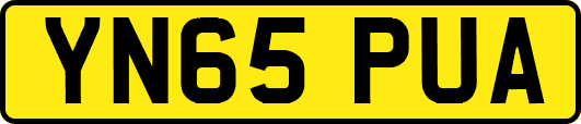 YN65PUA