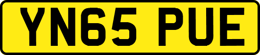 YN65PUE