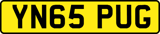 YN65PUG