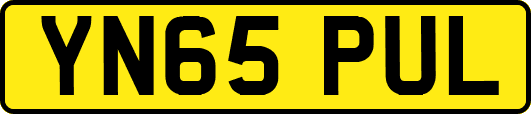 YN65PUL