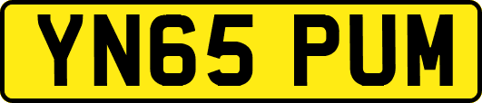 YN65PUM