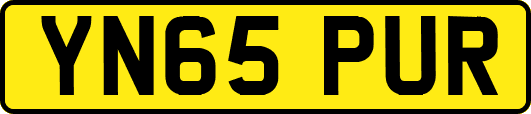 YN65PUR