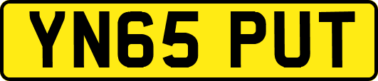 YN65PUT
