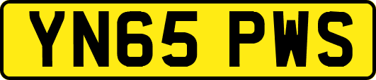YN65PWS