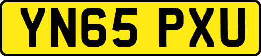 YN65PXU