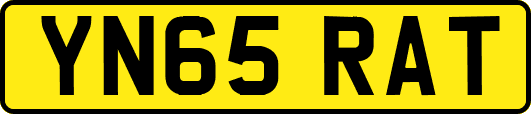 YN65RAT