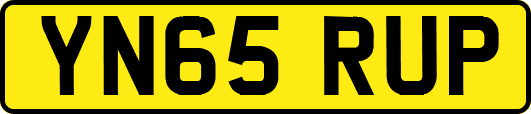 YN65RUP