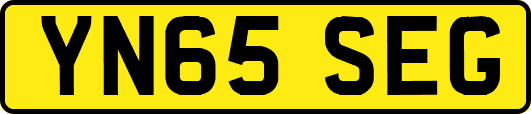 YN65SEG