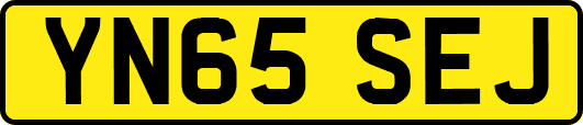 YN65SEJ