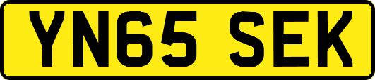 YN65SEK