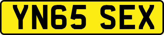 YN65SEX