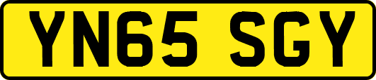 YN65SGY
