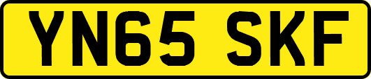 YN65SKF