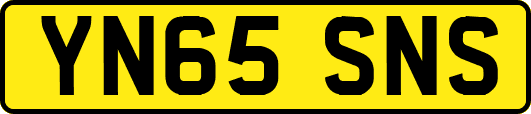 YN65SNS
