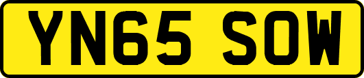 YN65SOW