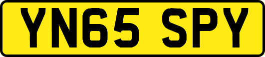 YN65SPY