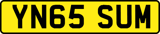 YN65SUM