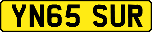 YN65SUR