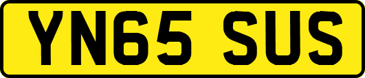 YN65SUS