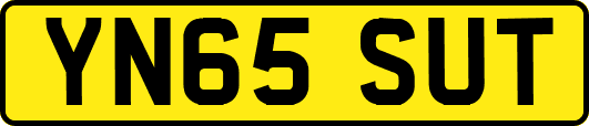 YN65SUT