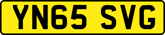 YN65SVG