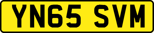YN65SVM
