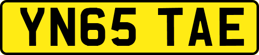 YN65TAE