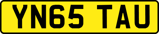 YN65TAU