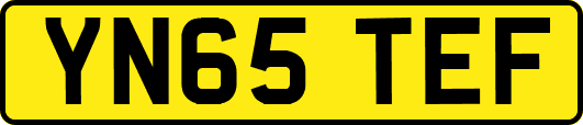 YN65TEF
