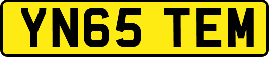 YN65TEM