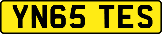 YN65TES