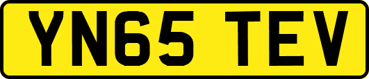 YN65TEV