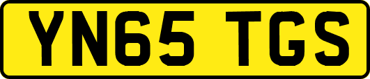 YN65TGS
