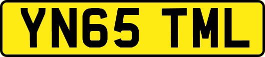 YN65TML