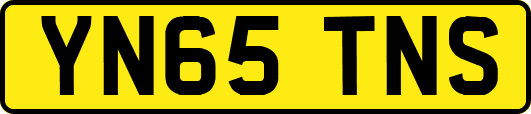 YN65TNS