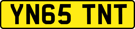YN65TNT