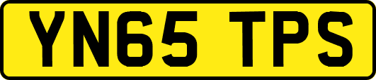YN65TPS