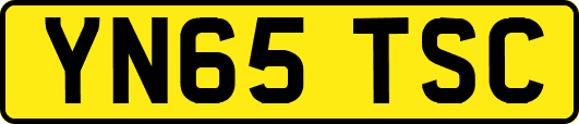 YN65TSC