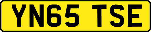 YN65TSE