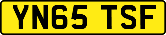 YN65TSF