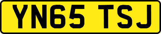 YN65TSJ