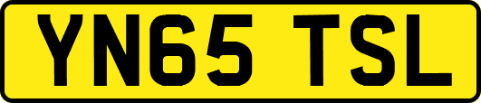 YN65TSL