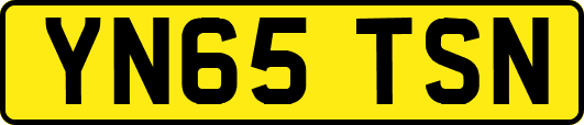 YN65TSN