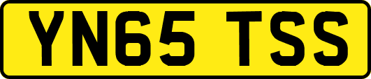 YN65TSS