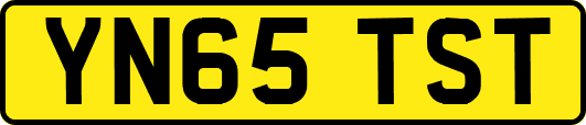 YN65TST