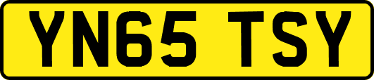 YN65TSY